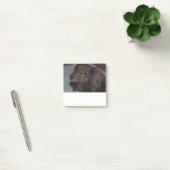 Post-it® Long Haired Dachshund Post it Notes (Bureau)