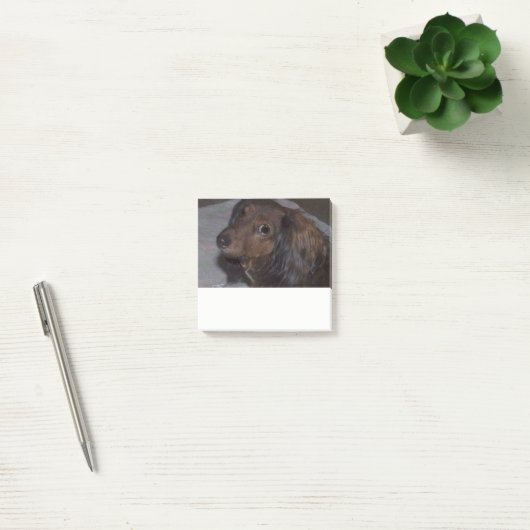 Post-it® Long Haired Dachshund Post it Notes (Bureau)