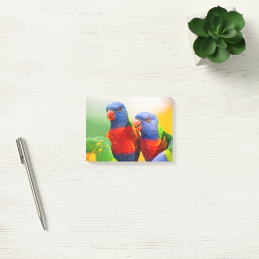 Post-it® Lorikeets d'arc-en-ciel (Bureau)