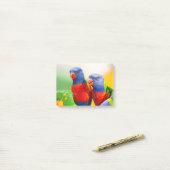 Post-it® Lorikeets d'arc-en-ciel (Sur un bureau)