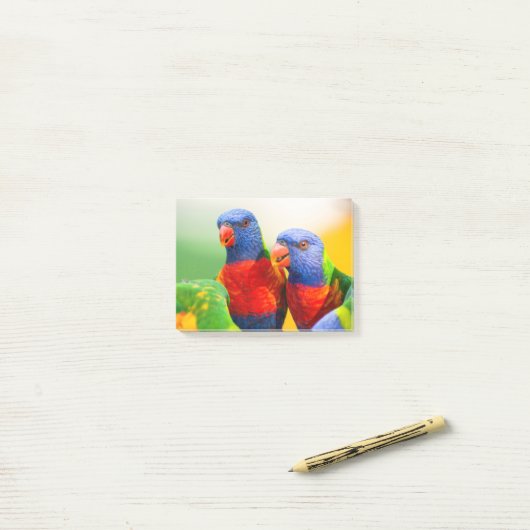 Post-it® Lorikeets d'arc-en-ciel (Sur un bureau)