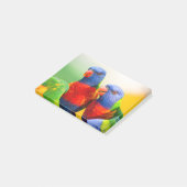 Post-it® Lorikeets d'arc-en-ciel (Incliné)