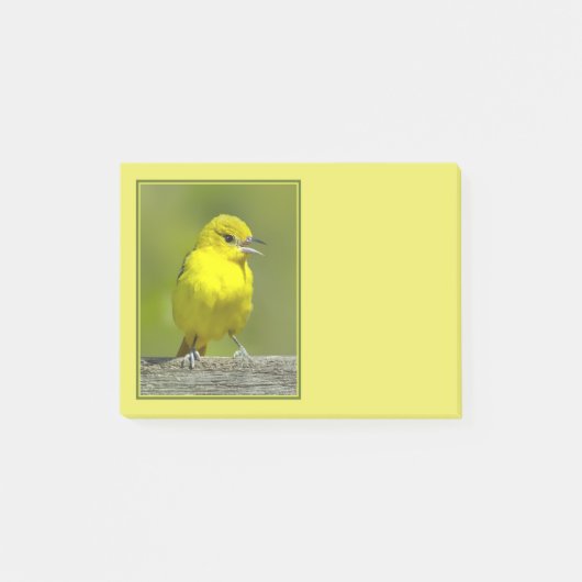 Post-it® Loriole des vergers - Photographie originale (Devant)