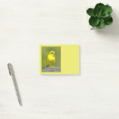 Post-it® Loriole des vergers - Photographie originale (Bureau)