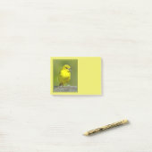 Post-it® Loriole des vergers - Photographie originale (Sur un bureau)