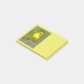 Post-it® Loriole des vergers - Photographie originale (Incliné)