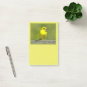 Post-it® Loriole des vergers - Photographie originale (Bureau)