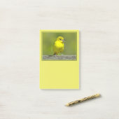 Post-it® Loriole des vergers - Photographie originale (Sur un bureau)