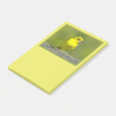 Post-it® Loriole des vergers - Photographie originale (Incliné)