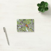 Post-it® Loriot de Baltimore (Bureau)