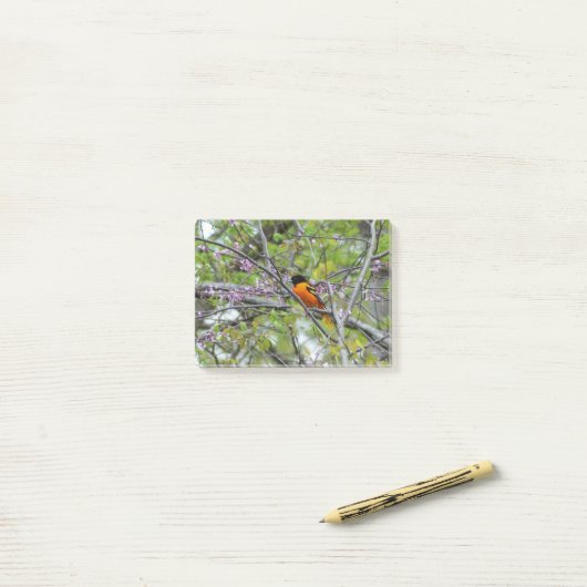 Post-it® Loriot de Baltimore (Sur un bureau)