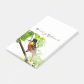 Post-it® Loriot de Baltimore 1 (Incliné)