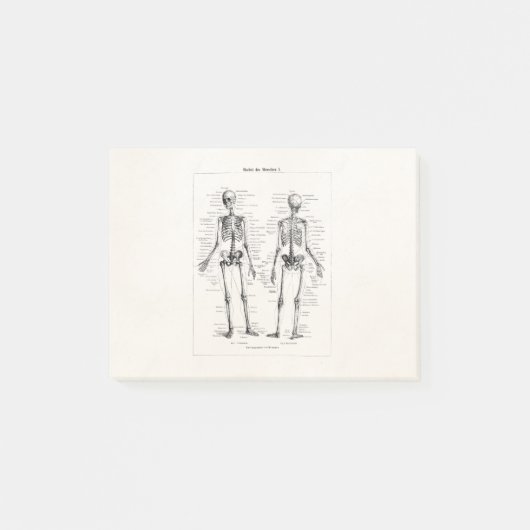 Post-it® L'os humain squelettique vintage d'anatomie (Devant)