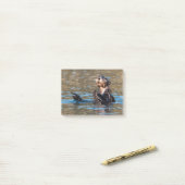 Post-it® Loupe de mer ensoleillée (Sur un bureau)