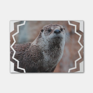 Post-it® Loutre de rivière