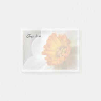 Post-it® Magnifique narcisse en fleurs en macro