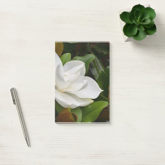 Post-it® Magnolia blanche (Bureau)