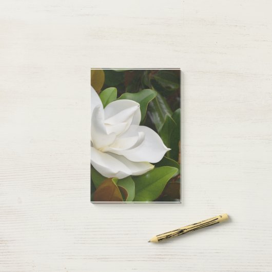 Post-it® Magnolia blanche (Sur un bureau)