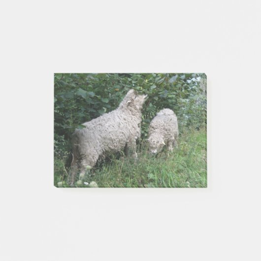 Post-it® Maigre mouton Manger Feuilles Post it note Pad (Devant)