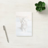 Post-it® Maine Coon Kitten (Bureau)
