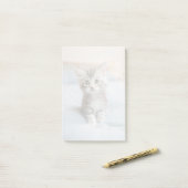 Post-it® Maine Coon Kitten (Sur un bureau)