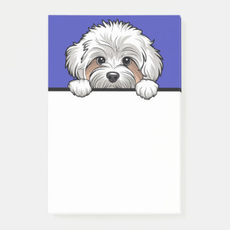 Post-it® Maltipoo Cute Peeking Cadeaux Amoureux de les chie