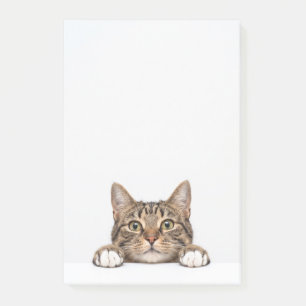 Post-it® maman chat