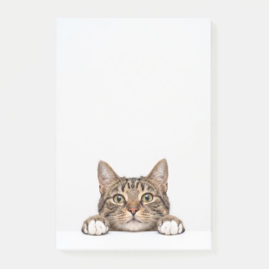 Post-it® maman chat (Devant)