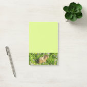 Post-it® Marmot dans le Mont Rainier Fleurs sauvages (Bureau)