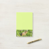 Post-it® Marmot dans le Mont Rainier Fleurs sauvages (Sur un bureau)