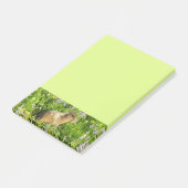 Post-it® Marmot dans le Mont Rainier Fleurs sauvages (Incliné)