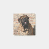 Post-it® Mastiff anglais (Devant)