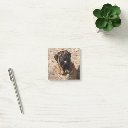 Post-it® Mastiff anglais (Bureau)