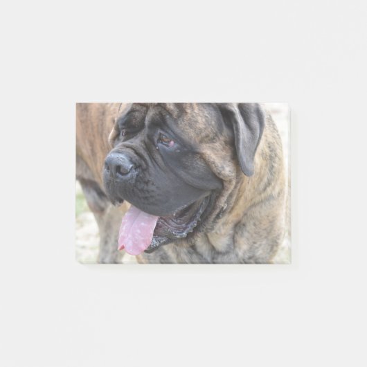 Post-it® Mastiff Brindle (Devant)