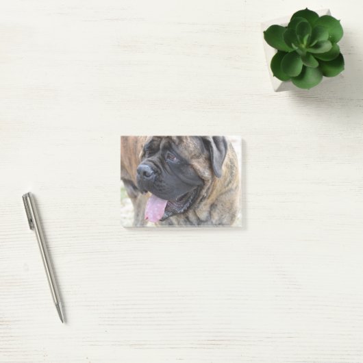 Post-it® Mastiff Brindle (Bureau)