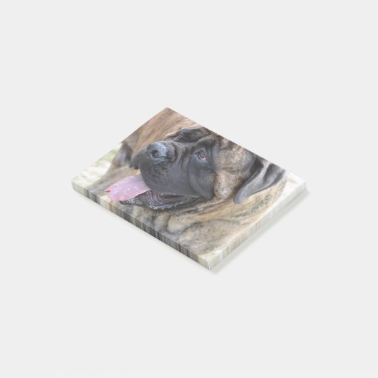 Post-it® Mastiff Brindle (Incliné)
