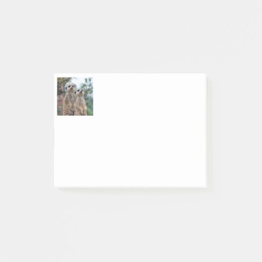 Post-it® Meerkat 013 (Devant)