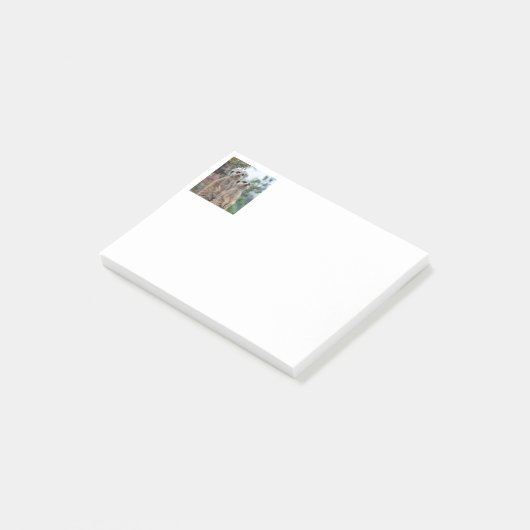 Post-it® Meerkat 013 (Incliné)