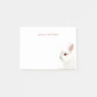 Mélange Blanc Nain Lapin Délicat Oreilles Sitter A