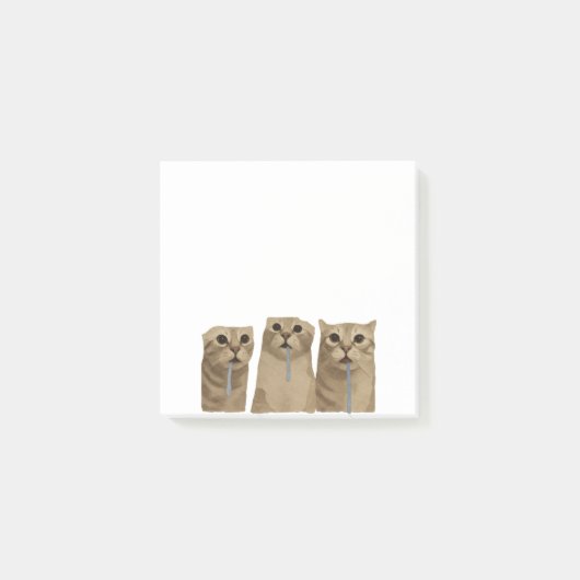 Post-it® Mème des chats idiots qui bavent triple (Devant)
