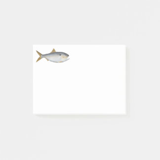 Post-it® Menhaden d'Argentine