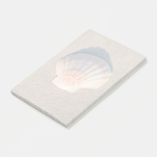 Post-it® Mer Shell s'étendant sur la plage sablonneuse (Incliné)