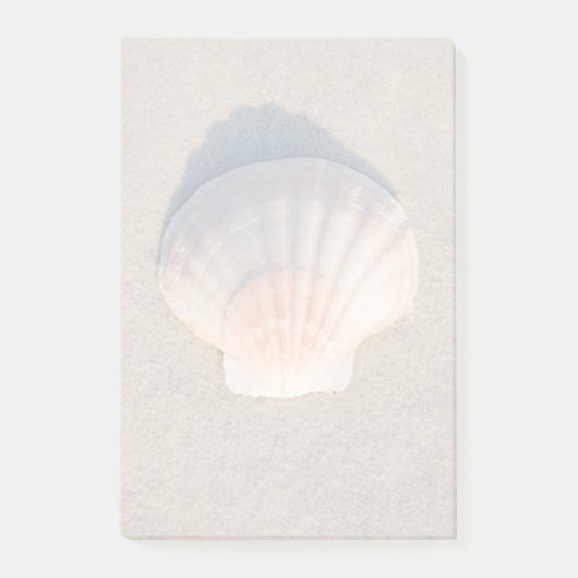 Post-it® Mer Shell s'étendant sur la plage sablonneuse (Devant)