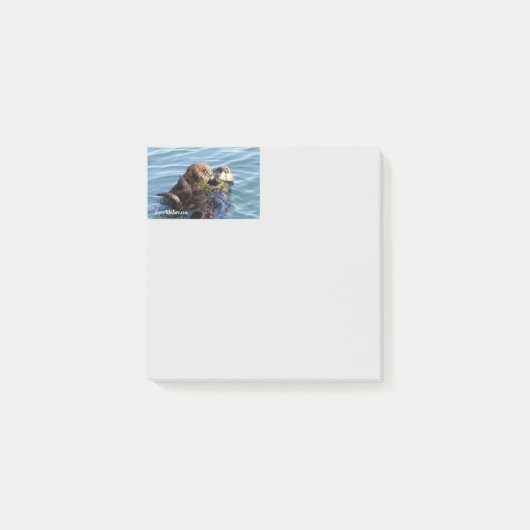 Post-it® Mère et chiot de loutre de mer avec le varech (Devant)