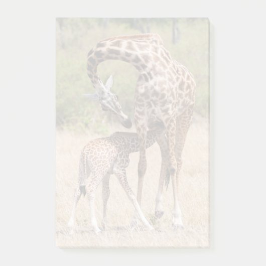 Post-it® Mère girafe et bébé au Kenya (Devant)