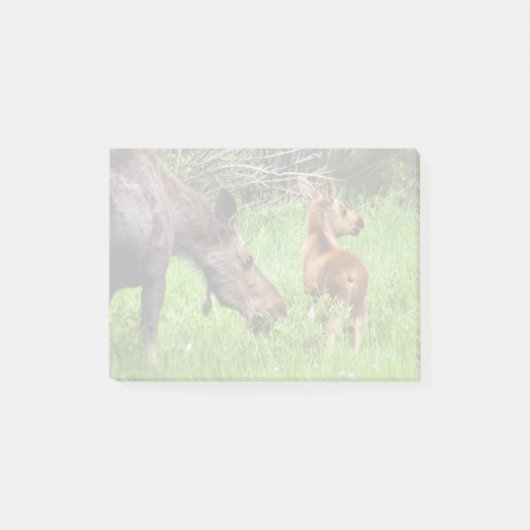 Post-it® Mère vigilante et bébé de deux orignaux (Devant)