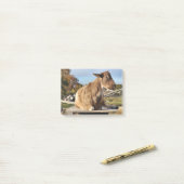 Post-it merkt op "Geitje" Post-it® Notes (Op bureau)