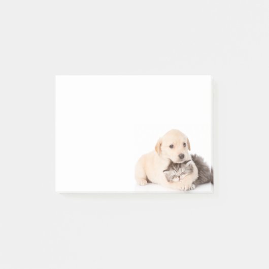 Post-it® mignon petit chat dort dans les mains du chien (Devant)