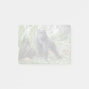 Post-it® Moke de Gorilla au zoo national