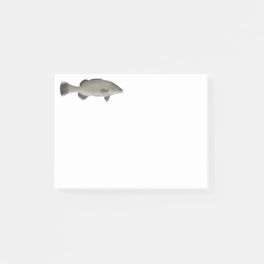 Post-it® Morue à truites (Devant)